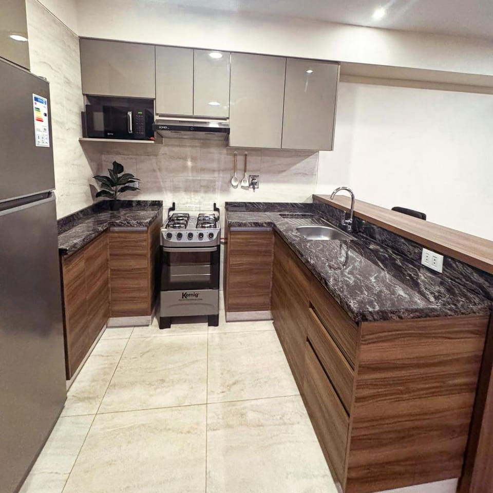Kitchen or kitchenette, dishwasher