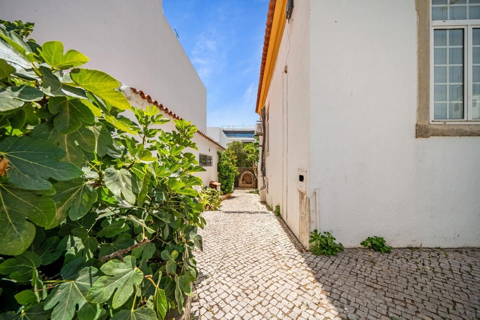 Plaza Inn Hostel & Rooms Hostel in Faro