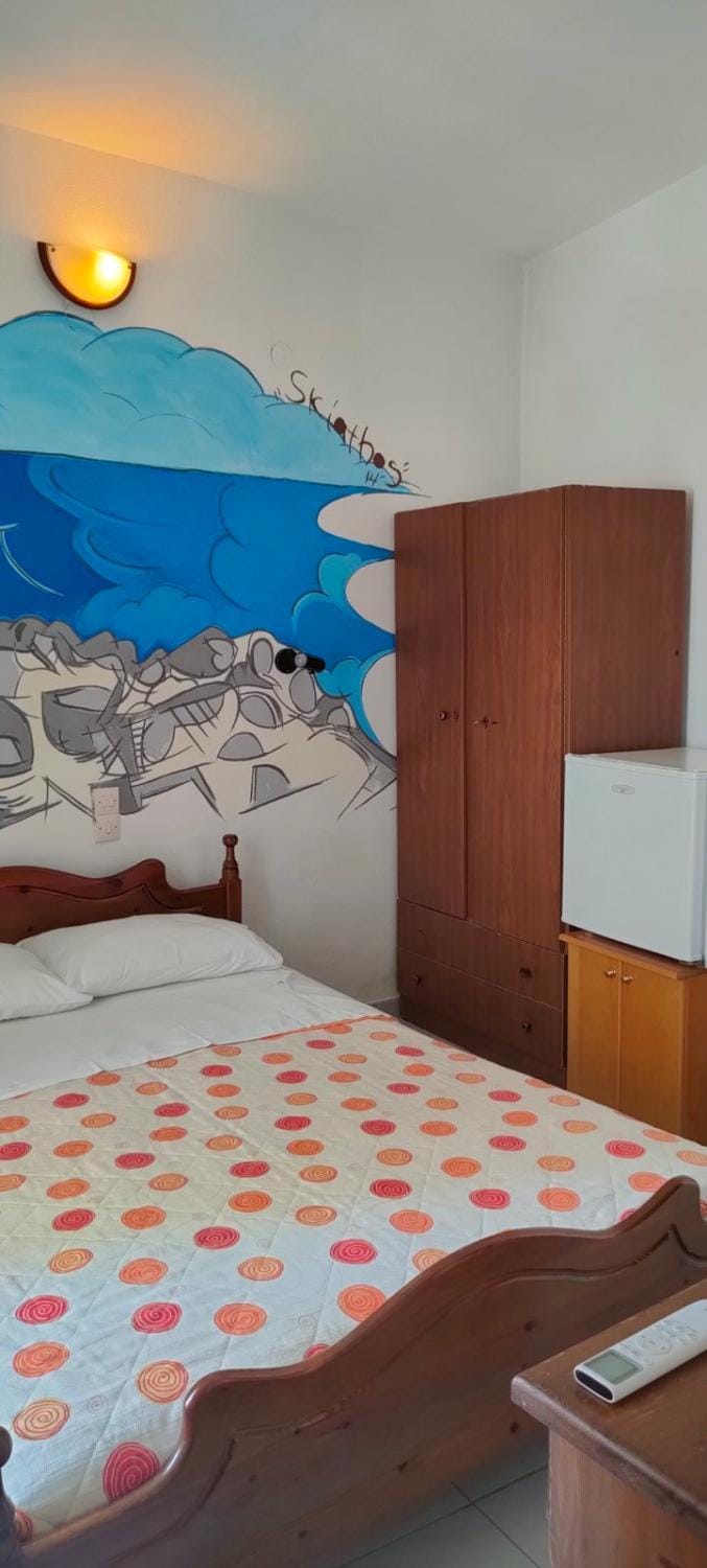 rigas-zoi4 Bed and Breakfast in Skiathos