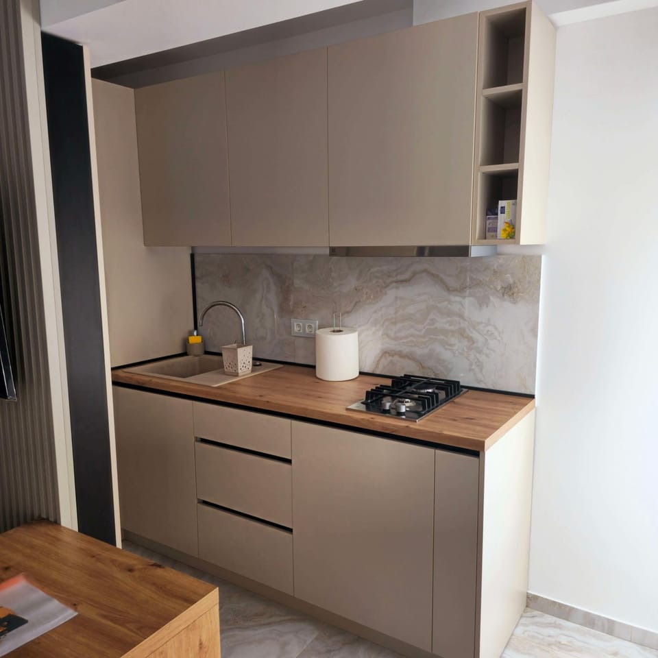 Kitchen or kitchenette, kitchen