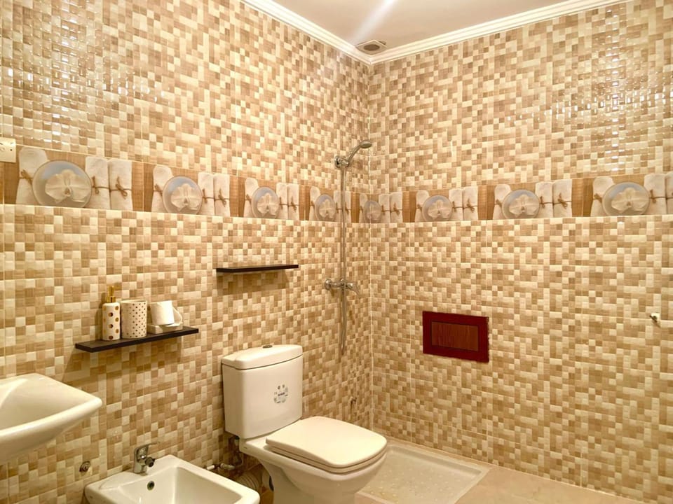 Shower, Toilet, Bathroom, bidet