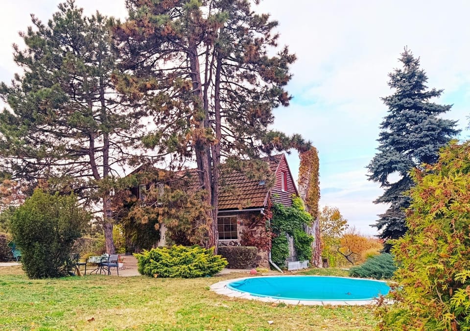 Kings Hill - Family Retreat Villa in Vojvodina