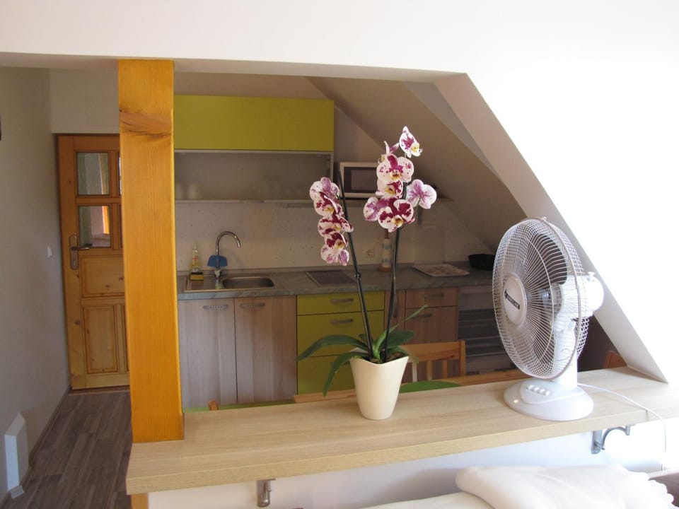 Kitchen or kitchenette, Communal kitchen