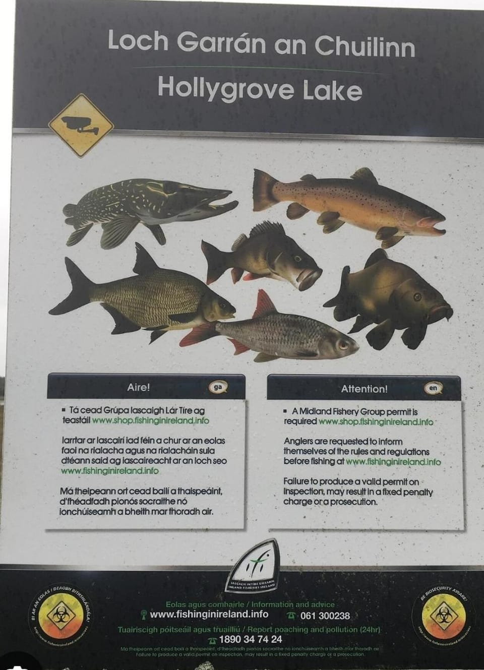 Fishing