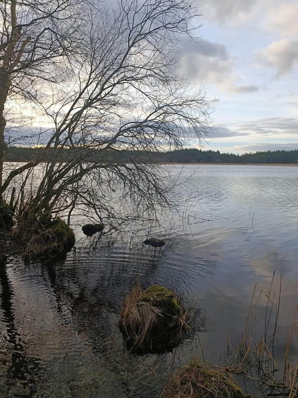 Natural landscape