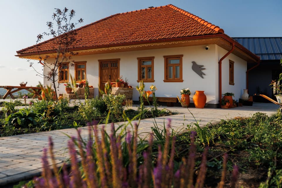 Property building, Garden, Garden view