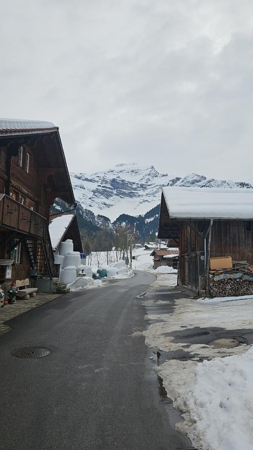 Alphenrose saxeten Hotel in Canton of Valais