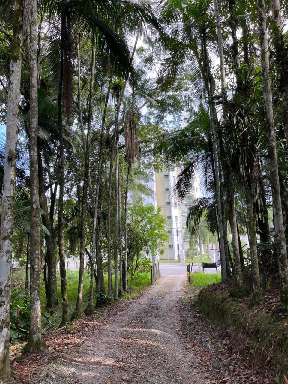 Chácara Vitória House in State of Santa Catarina