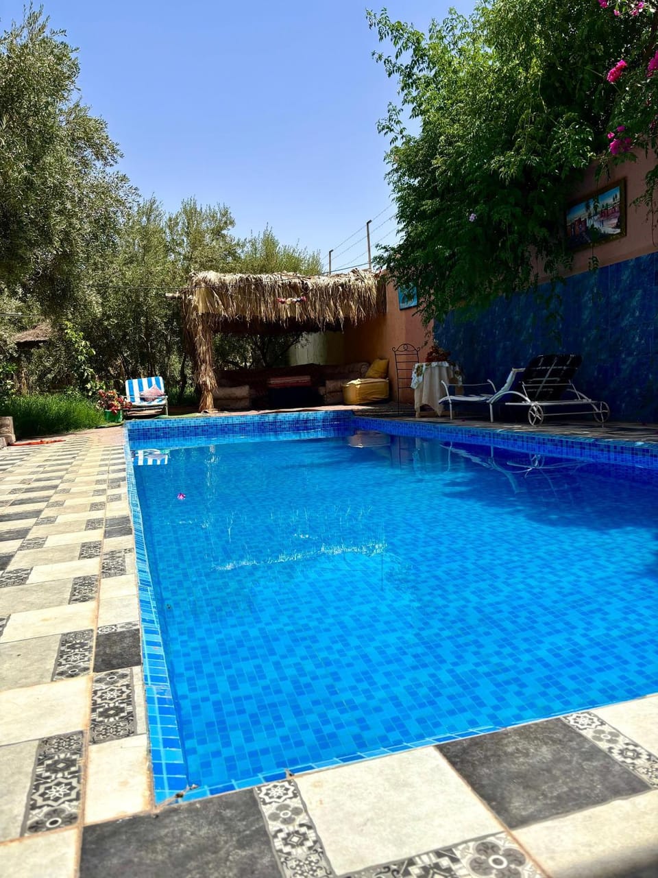 Day, Pool view, Swimming pool, sunbed