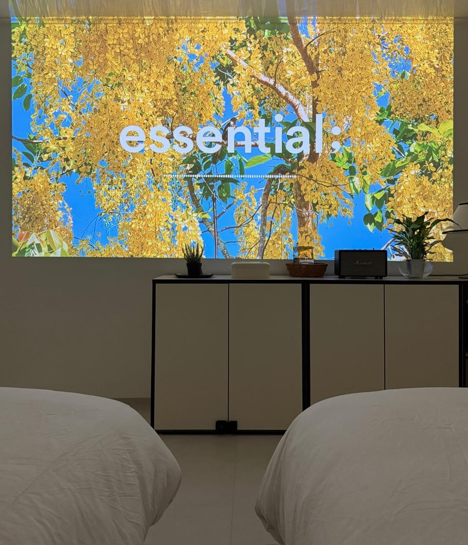 Bed, TV and multimedia, Bedroom