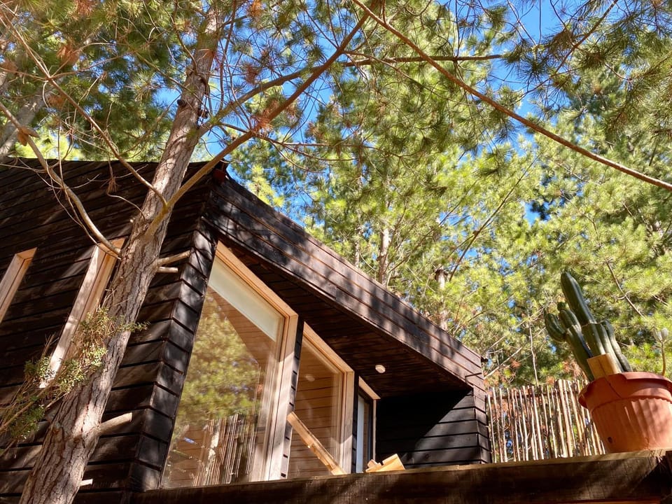Tiny Houses del bosque House in O'Higgins, Chile
