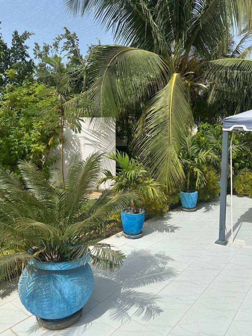 Garden, Balcony/Terrace