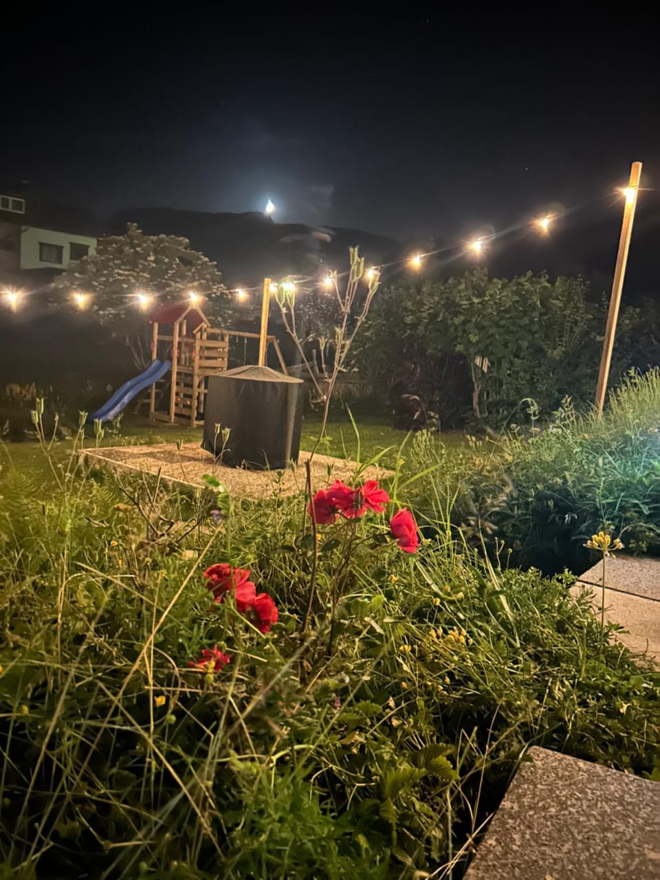 Night, Garden, Garden view