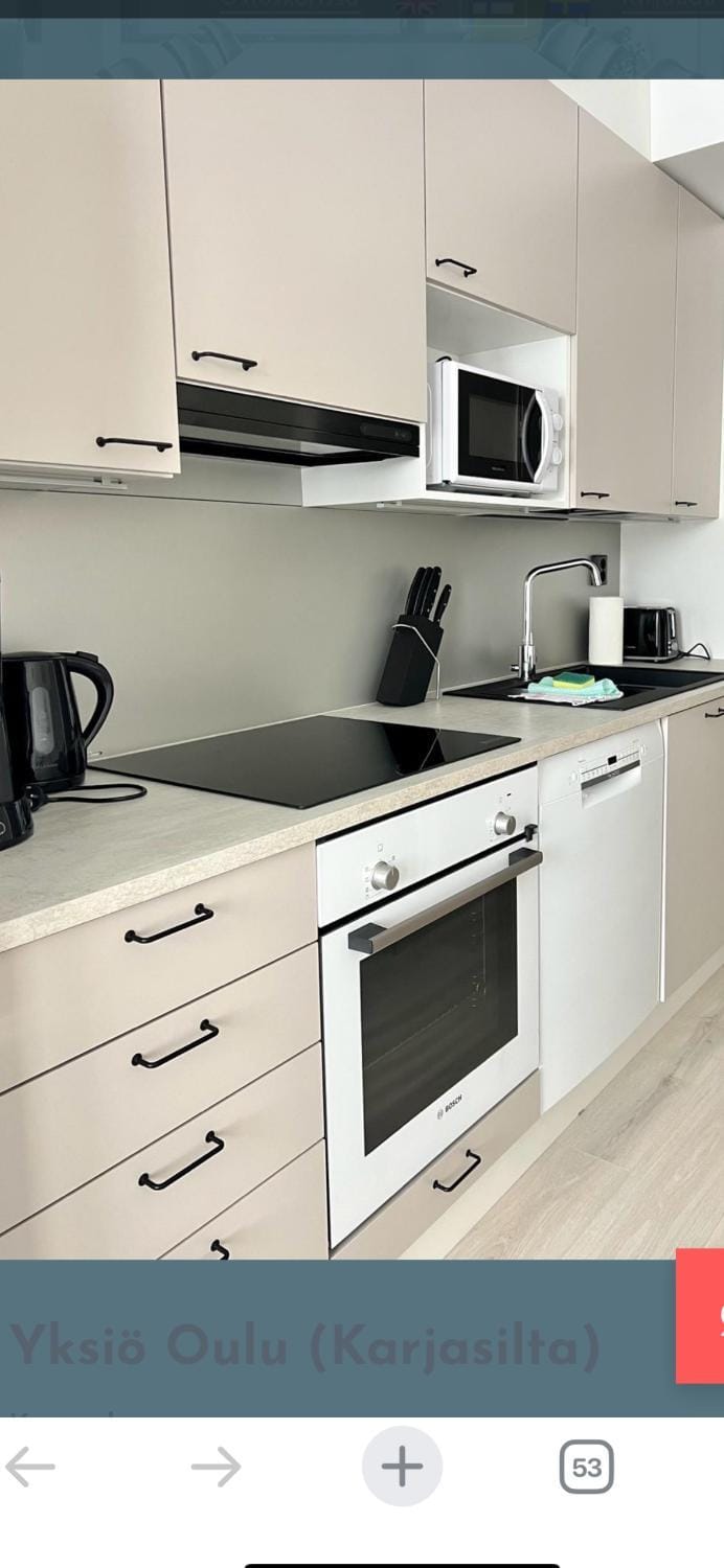 Studio Lintulammentie Apartment in Finland
