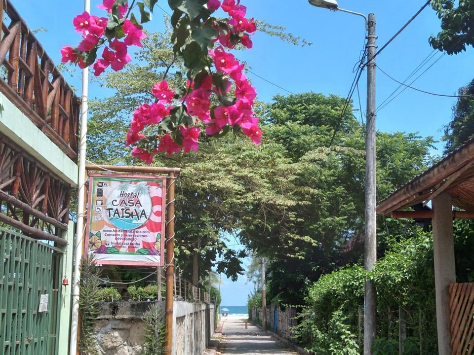 Property building, Beach, Logo/Certificate/Sign, Street view
