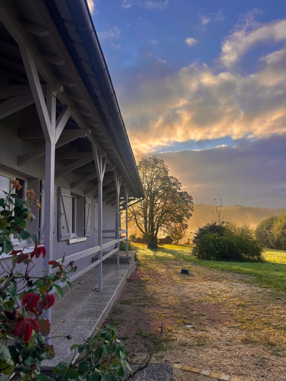 Garden, View (from property/room), Garden view, Sunrise