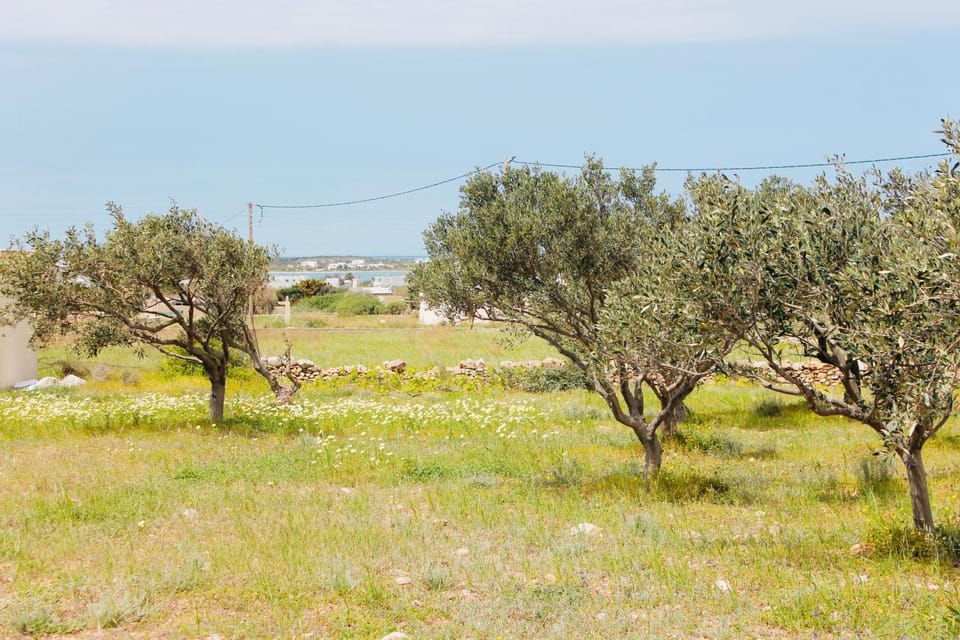 Natural landscape