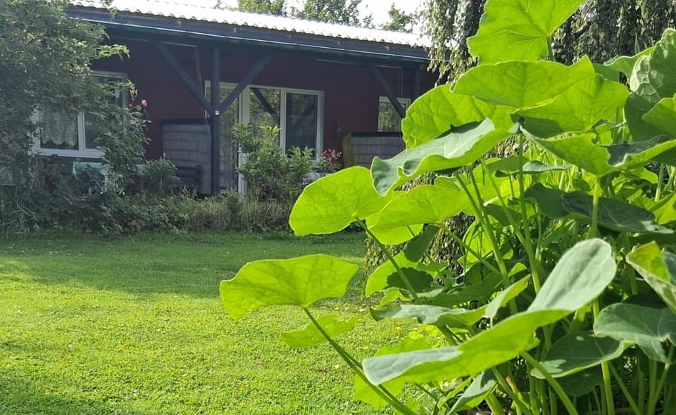 Sinsum 14 Apartment in Butjadingen