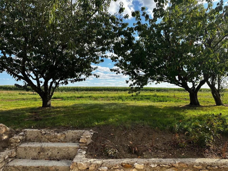 Garden view