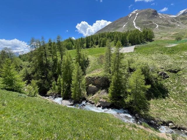 Natural landscape