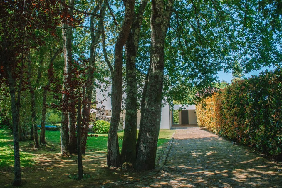 Just Like Home - Villa Bonnie Villa in Viana do Castelo District, Portugal