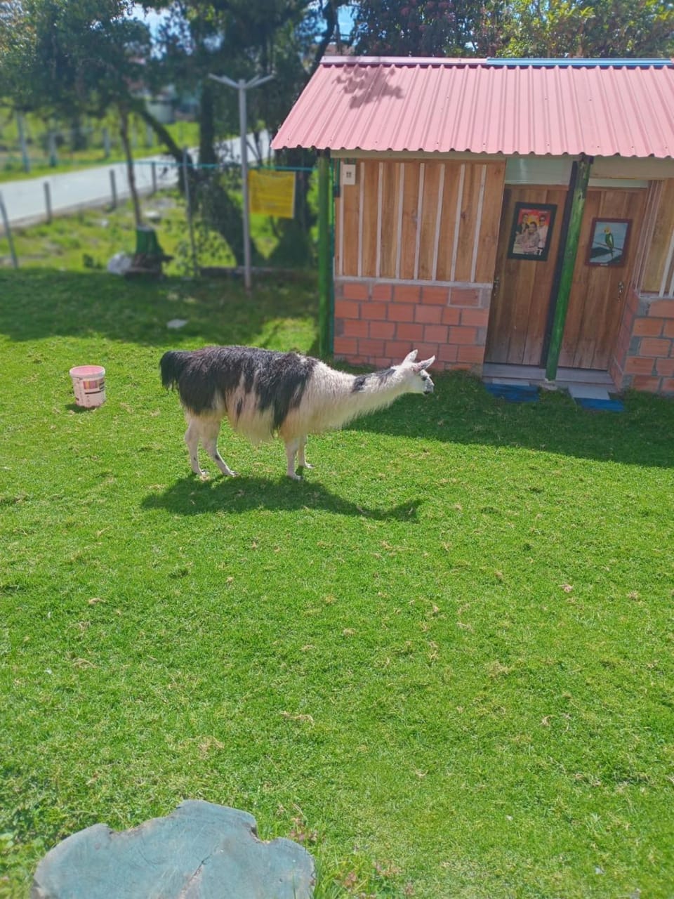 Los frailejones Campground/ 
RV Resort in Caldas, Colombia