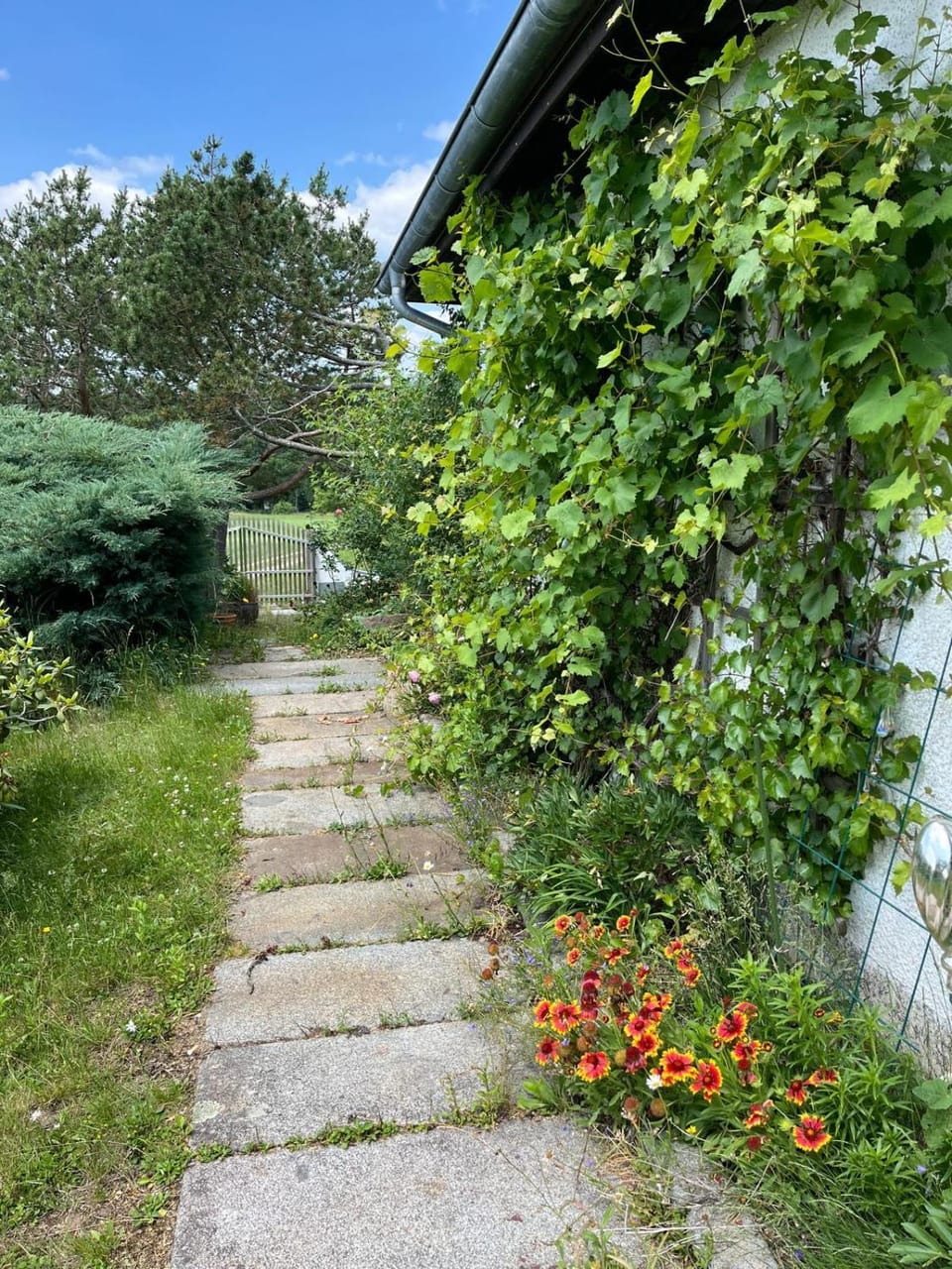 Garden, Garden view