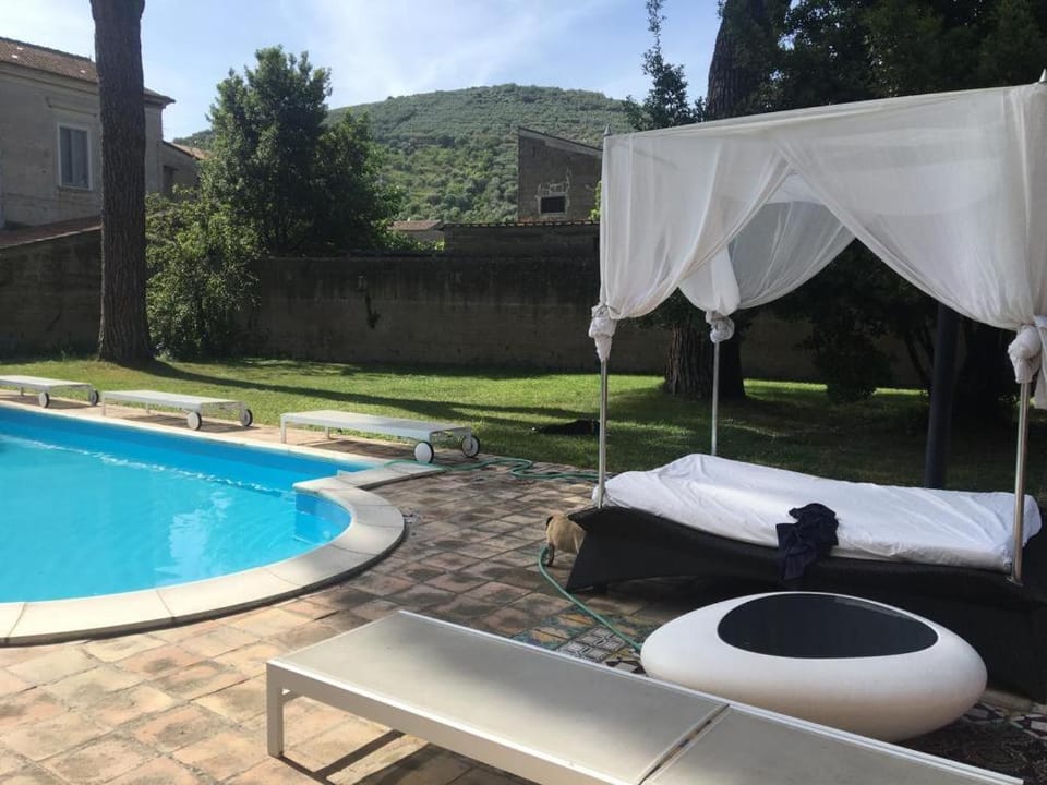 Garden, Swimming pool