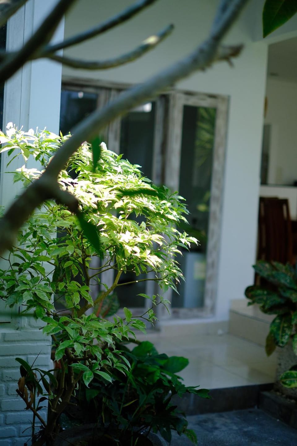 Puri mawa bali Bed and Breakfast in North Kuta