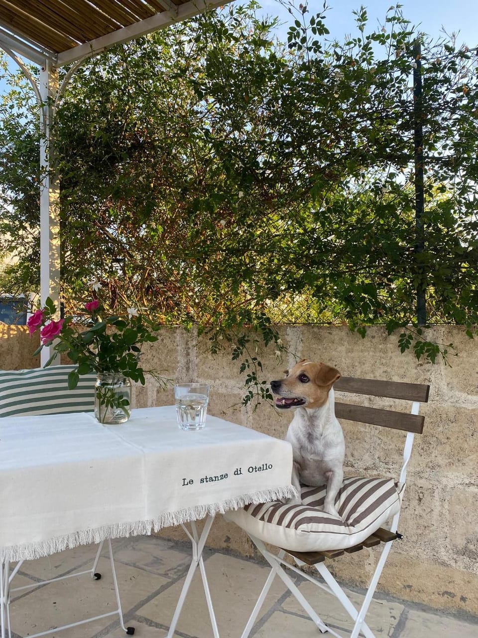 Le stanze di Otello Bed and Breakfast in Apulia