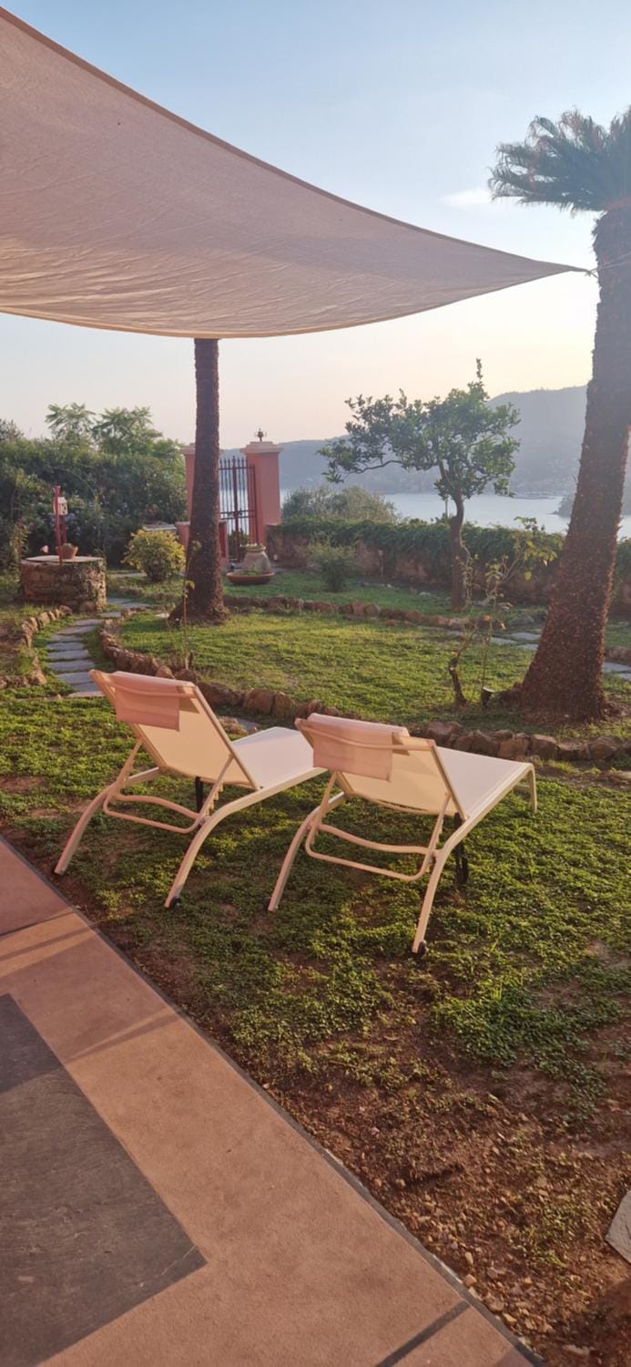 Garden, sunbed