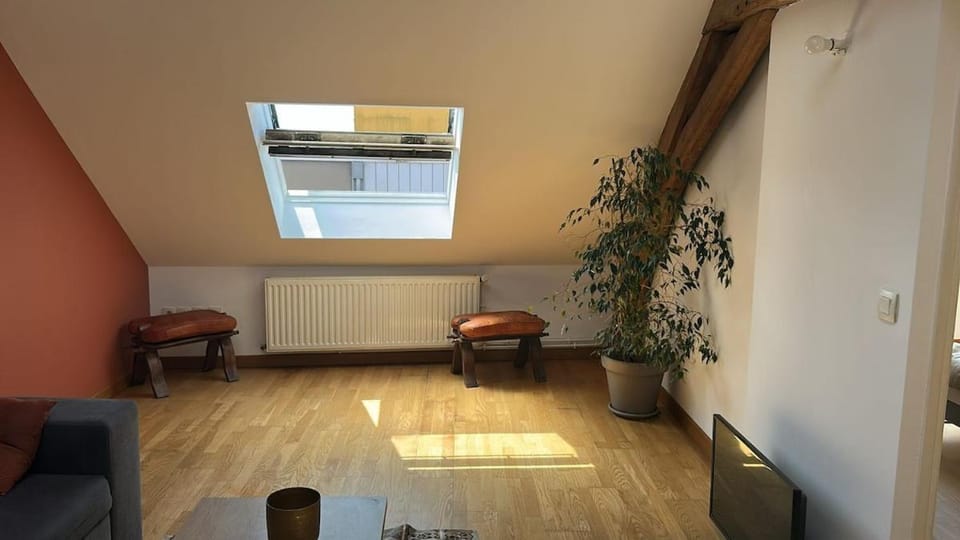 Les combles de Roubaix Apartment in Hauts-de-France