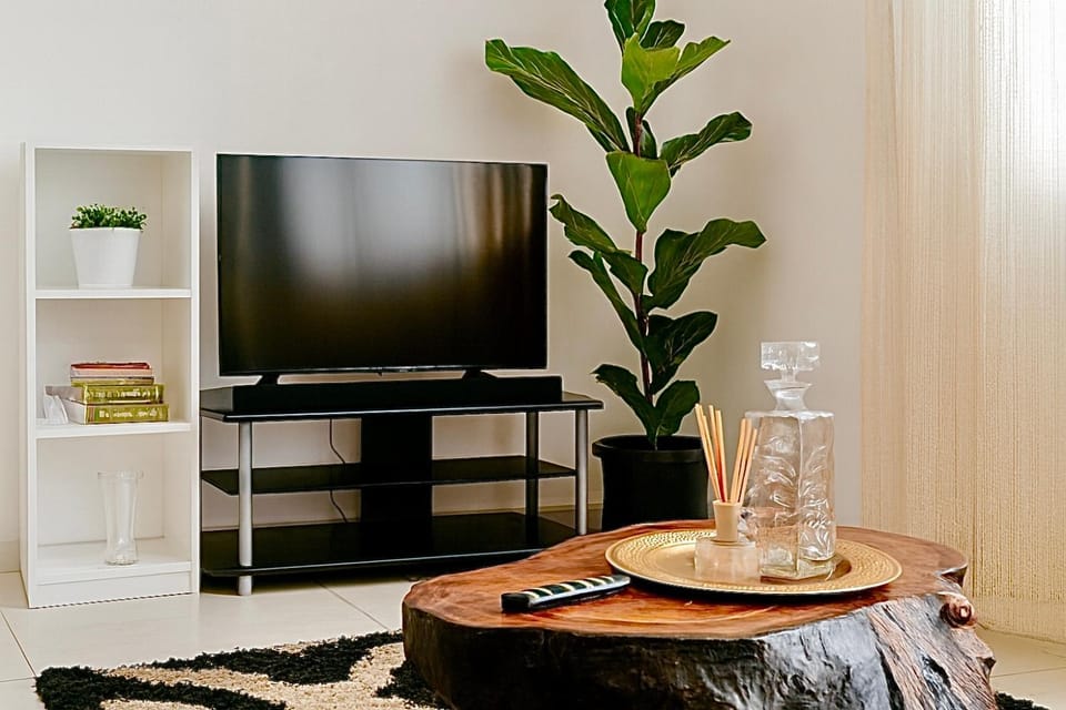 TV and multimedia, Evening entertainment