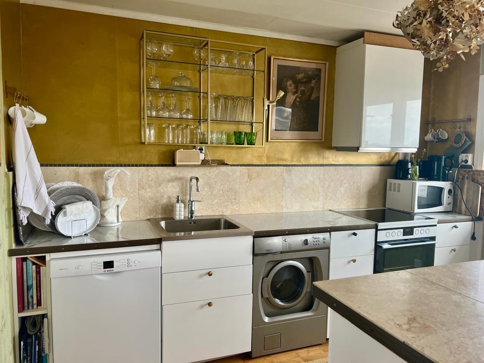 Kitchen or kitchenette, Kitchen or kitchenette, dishwasher, oven, toaster, washing machine