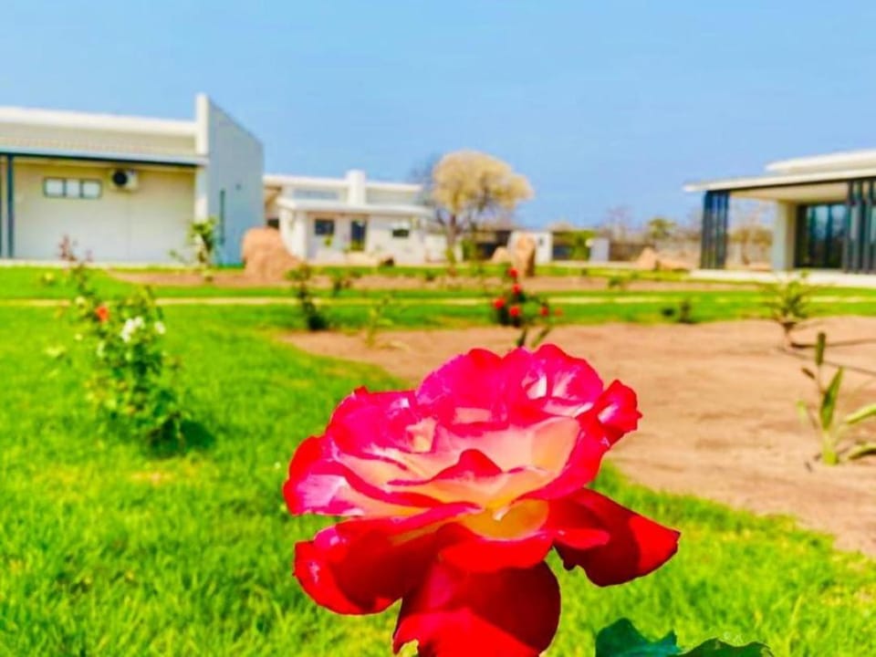 Natural landscape, Garden