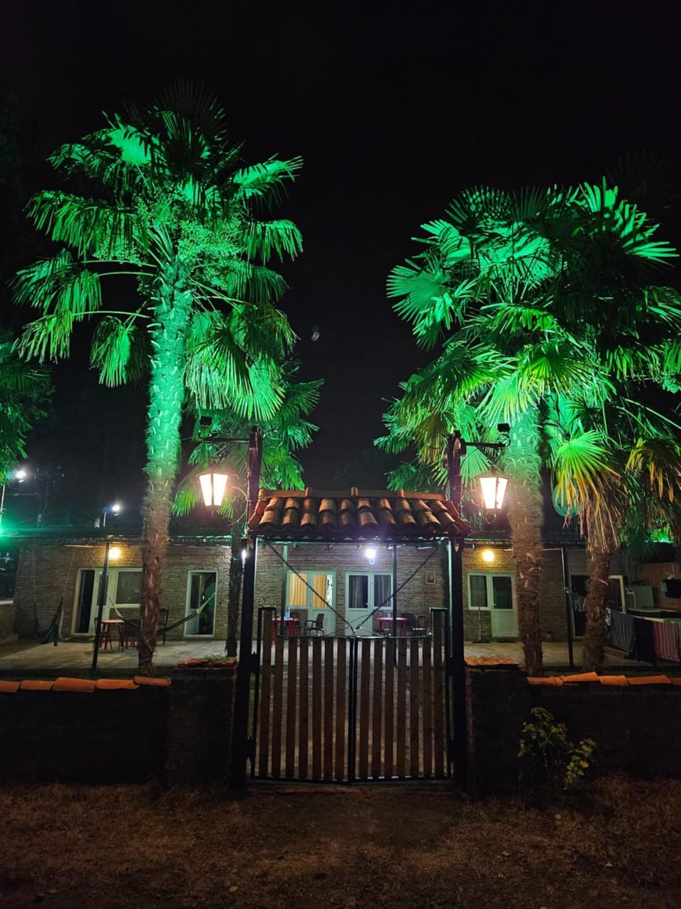 Night, Garden, Garden view