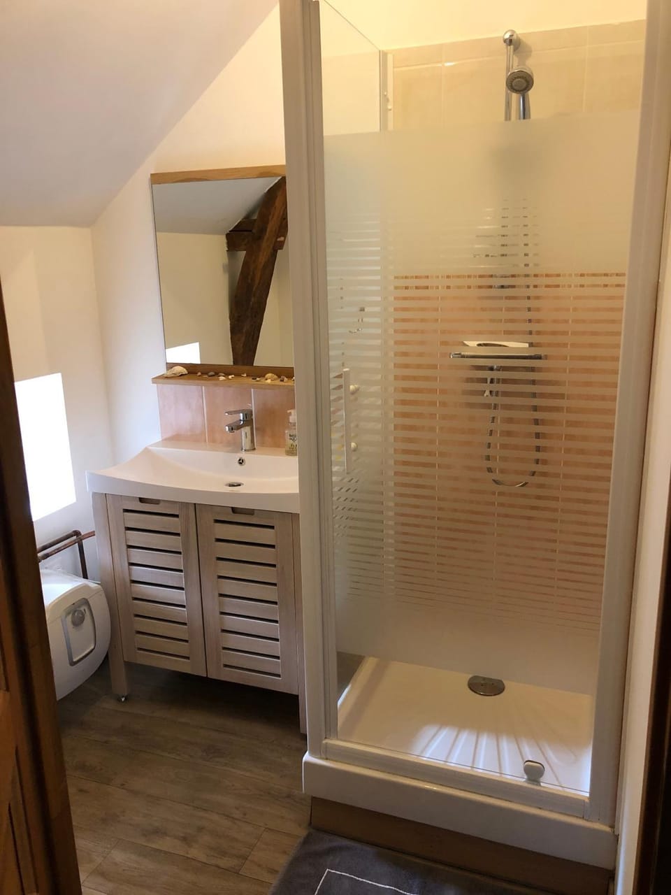 Bathroom, Living room