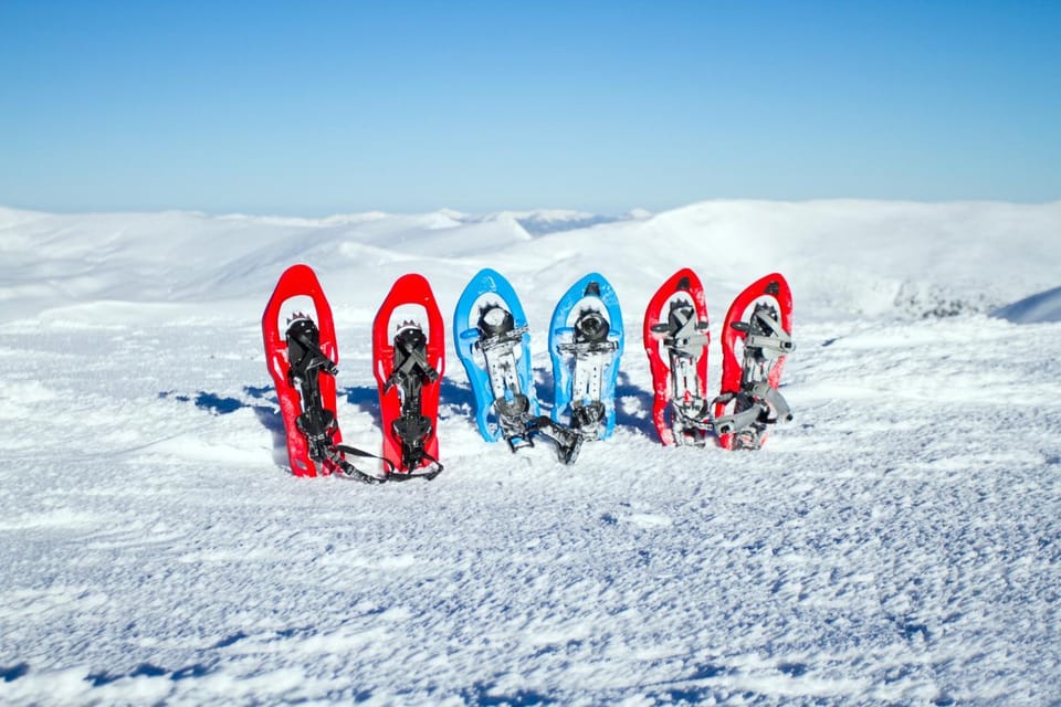 Gite de La Lauzeraie House in Auvergne-Rhône-Alpes