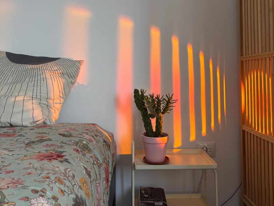 Perro y Osito Coliving - San Andrés Bed and Breakfast in Canary Islands