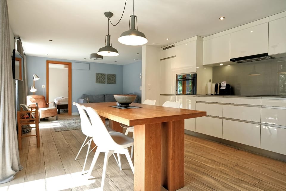 Kitchen or kitchenette, Living room, Seating area, Dining area, oven, stove