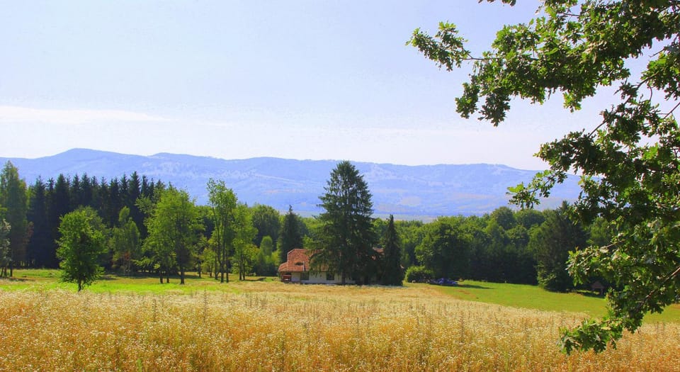 Natural landscape, Bird's eye view