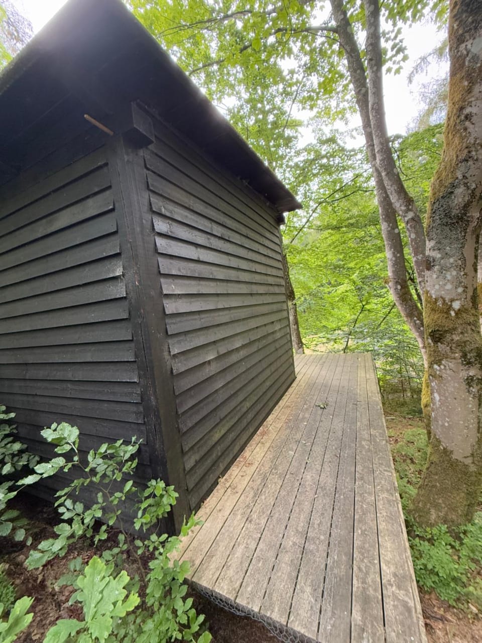 Idylisk primitiv hytte midt i skoven Luxury tent in Central Denmark Region