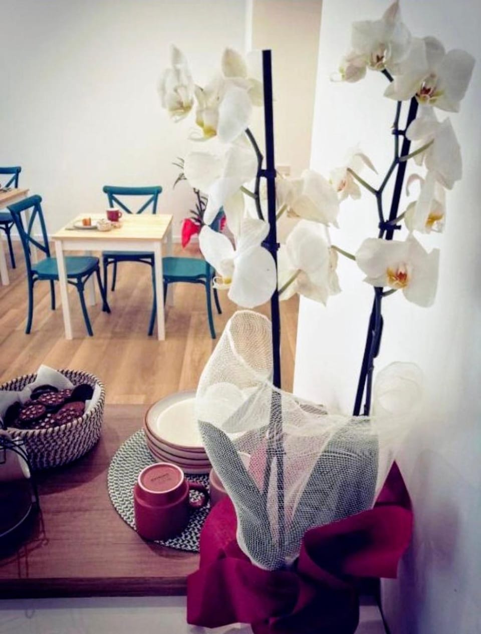 Living room, Food and drinks, Seating area, Food