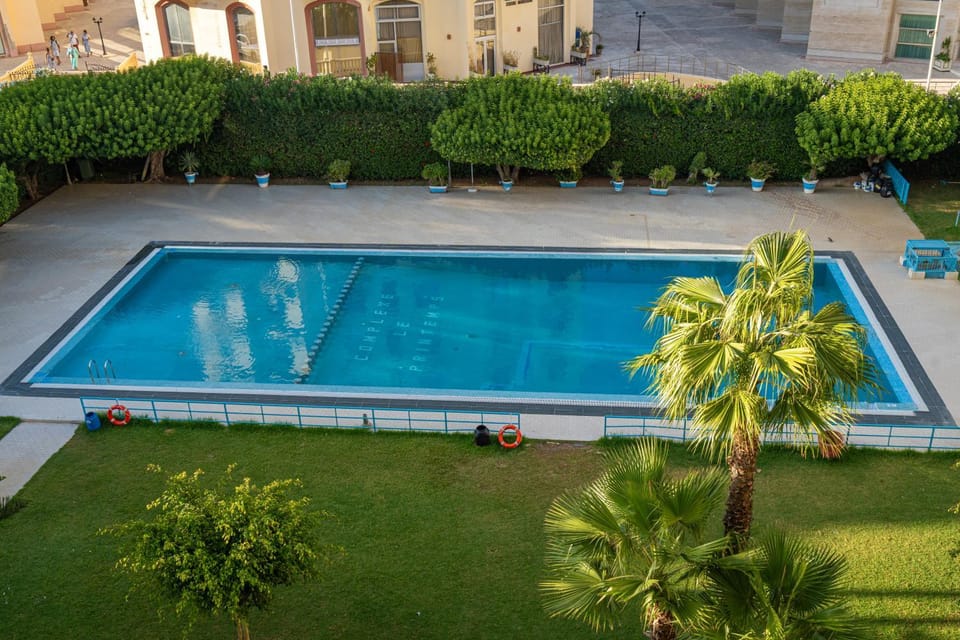 Garden, Garden view, Pool view, Swimming pool, sunbed