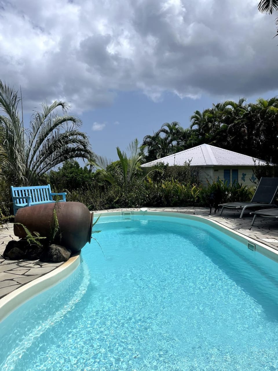 Garden, Swimming pool, Swimming pool, sunbed