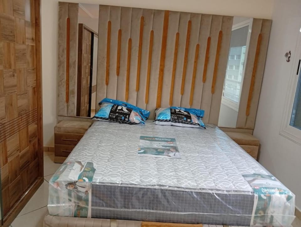 Furnished apartments for daily rent, Al-Nador Apartment in Morocco
