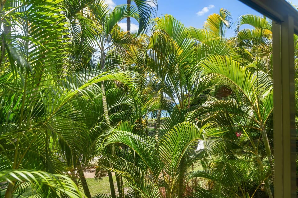 Garden, Garden view