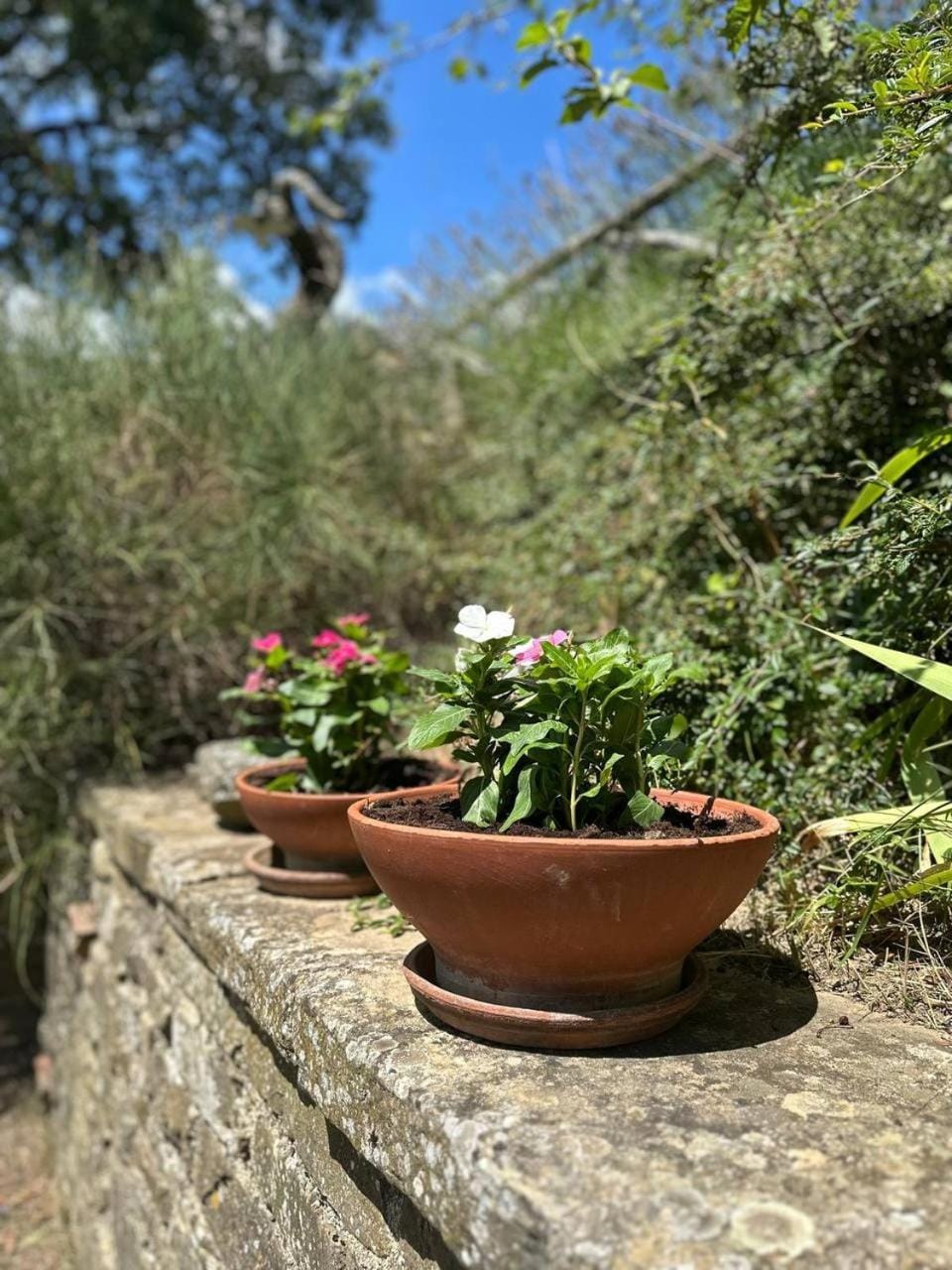 I Poggi di Belvedere House in Tuscany