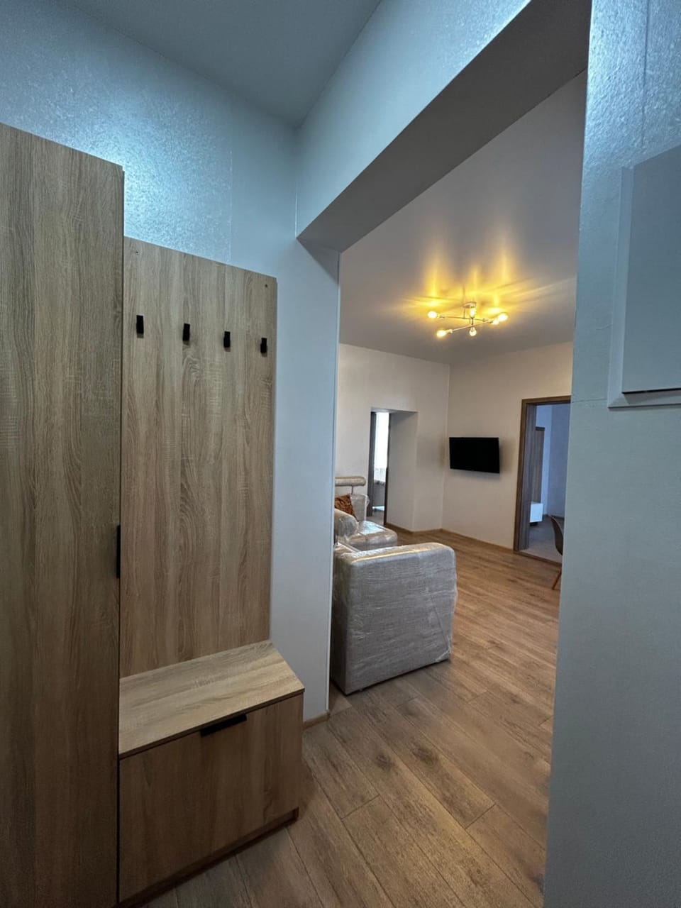 Living room, wardrobe