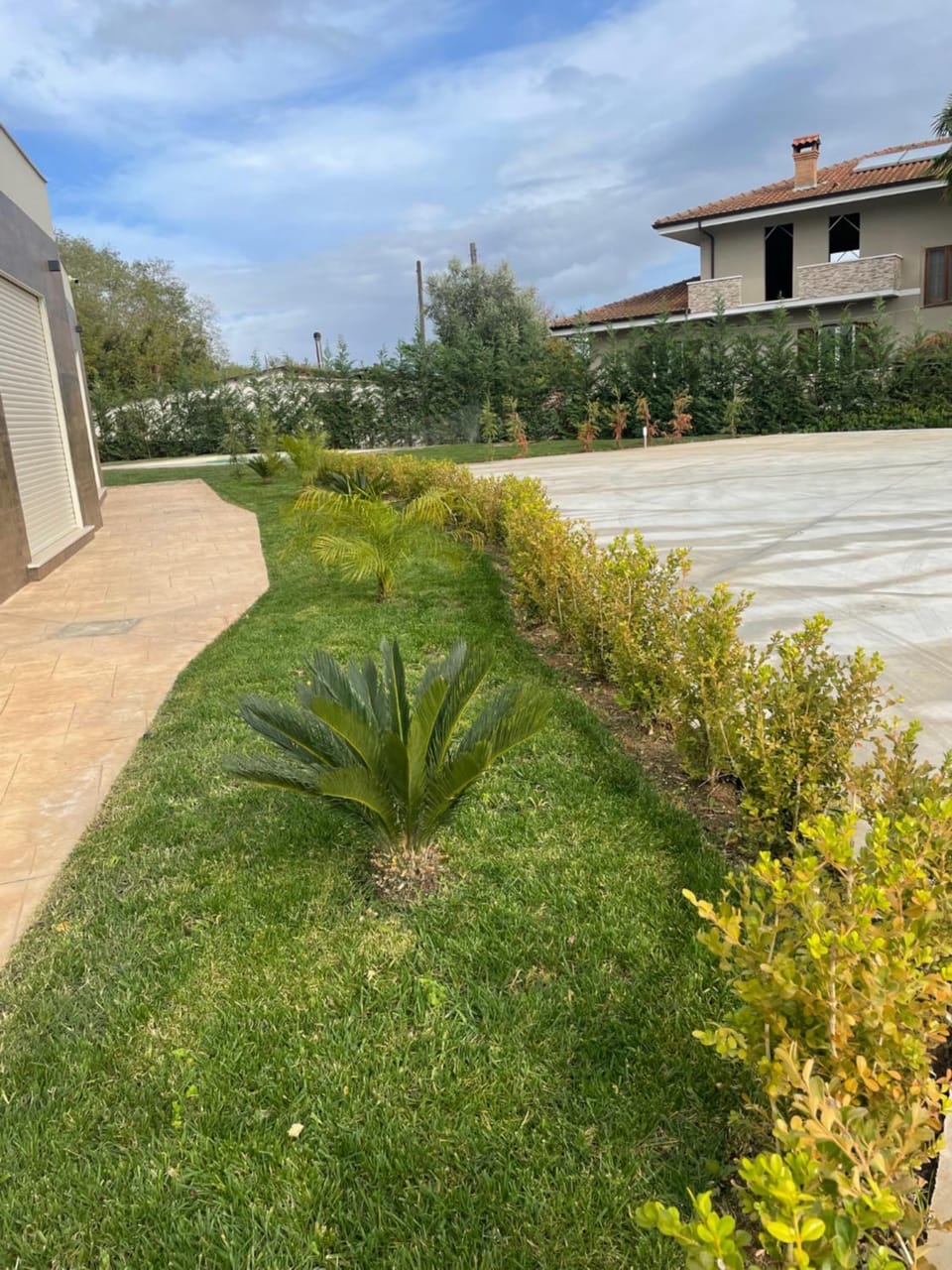 Garden
